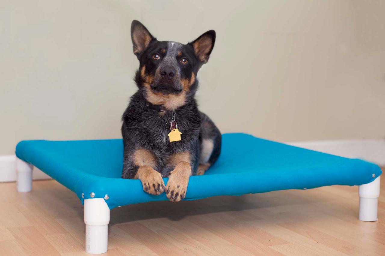 diy elevated dog bed for large breeds