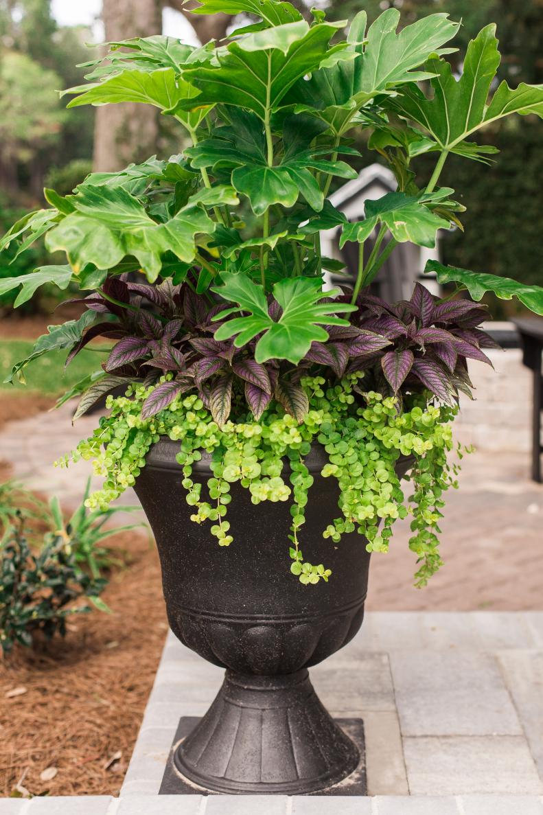HGTV Dream Home 2017: Black Urn Planters of Resin and Stone
