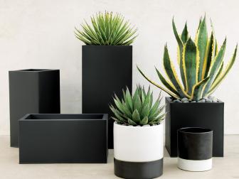 Black and White Planters