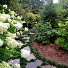 Stone Pathway In Traditional Garden