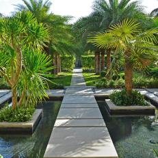 Tropical Walkway With Organized Rows of Bright Palm Trees and Concrete Tile Path Leading Over Yard and Shallow Pond 