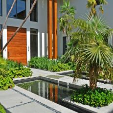 Wood Asian Front Door and Concrete Tile Walkway Over Shallow Pond Surrounded By Lush, Green Plant Life 