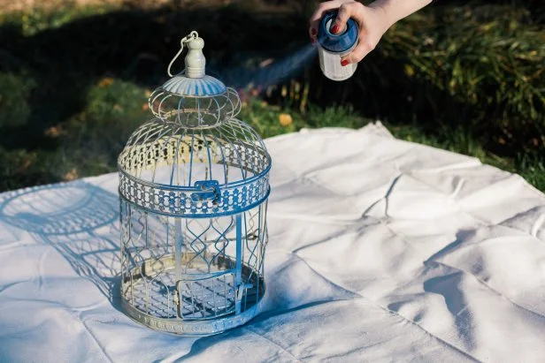 For this project any cage will do but the more detailed it is, the prettier the final effect. Lay out a drop cloth in a well-ventilated area and with a light, sweeping motion, spray paint the bird cages in vibrant colors. We opted for a bold blue and punchy orange