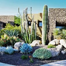 Front Cacti Garden Bed Focal Point