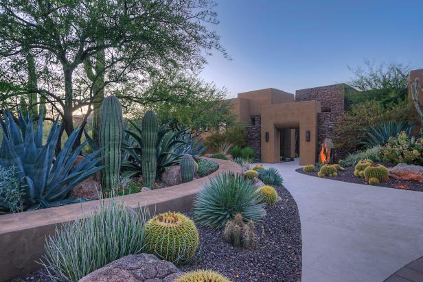 Large Cacti in Front of Modern-Style Home