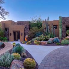 Large-Specimen Cacti Support Home's Bold Architecture