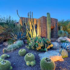 Landscape Lighting in Large Cactus Garden Bed