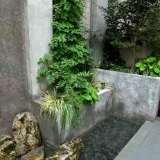 Modern Urban Garden with Concrete Planters and Wall