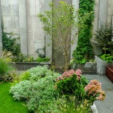 Garden Area with Foilage, Perennials and Bamboo