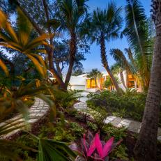 Lush Tropical Plants and Palms in the Garden