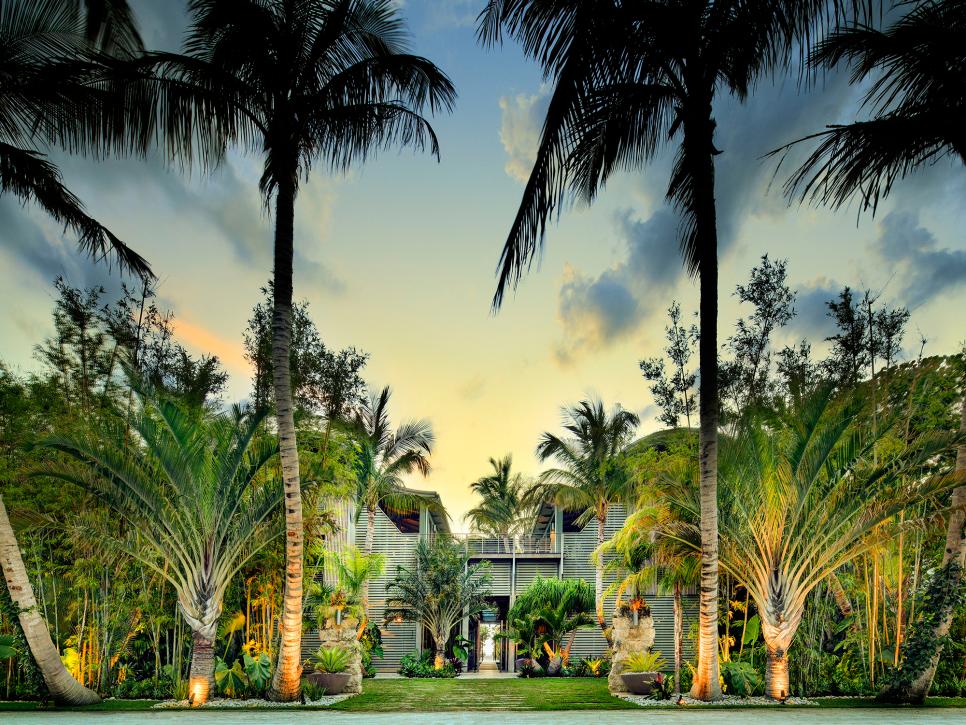 Large Palm Trees in Front of Home