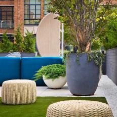 Greenscape Provides Extra Privacy for Rooftop Terrace