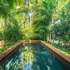Brick Swimming Pool and Tropical Plants