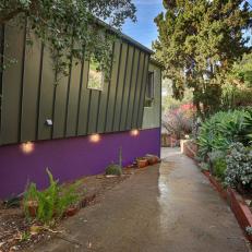 Modern House with Purple Exterior Wall