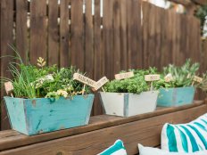 These handy little herb gardens are portable and completely charming. Give them to a friend who loves to cook or make a few for yourself.