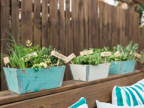 How to Plant a Mini Herb Garden for Your Porch