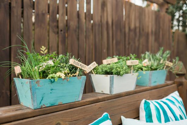 How To Plant A Mini Herb Garden, Herb Garden Table Diy