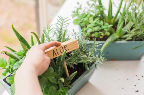 Maple Macchiato Recipe - Joybilee® Farm, DIY, Herbs, Gardening