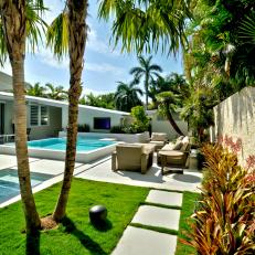 Contemporary Backyard Pool Area with Palms and Privacy Wall