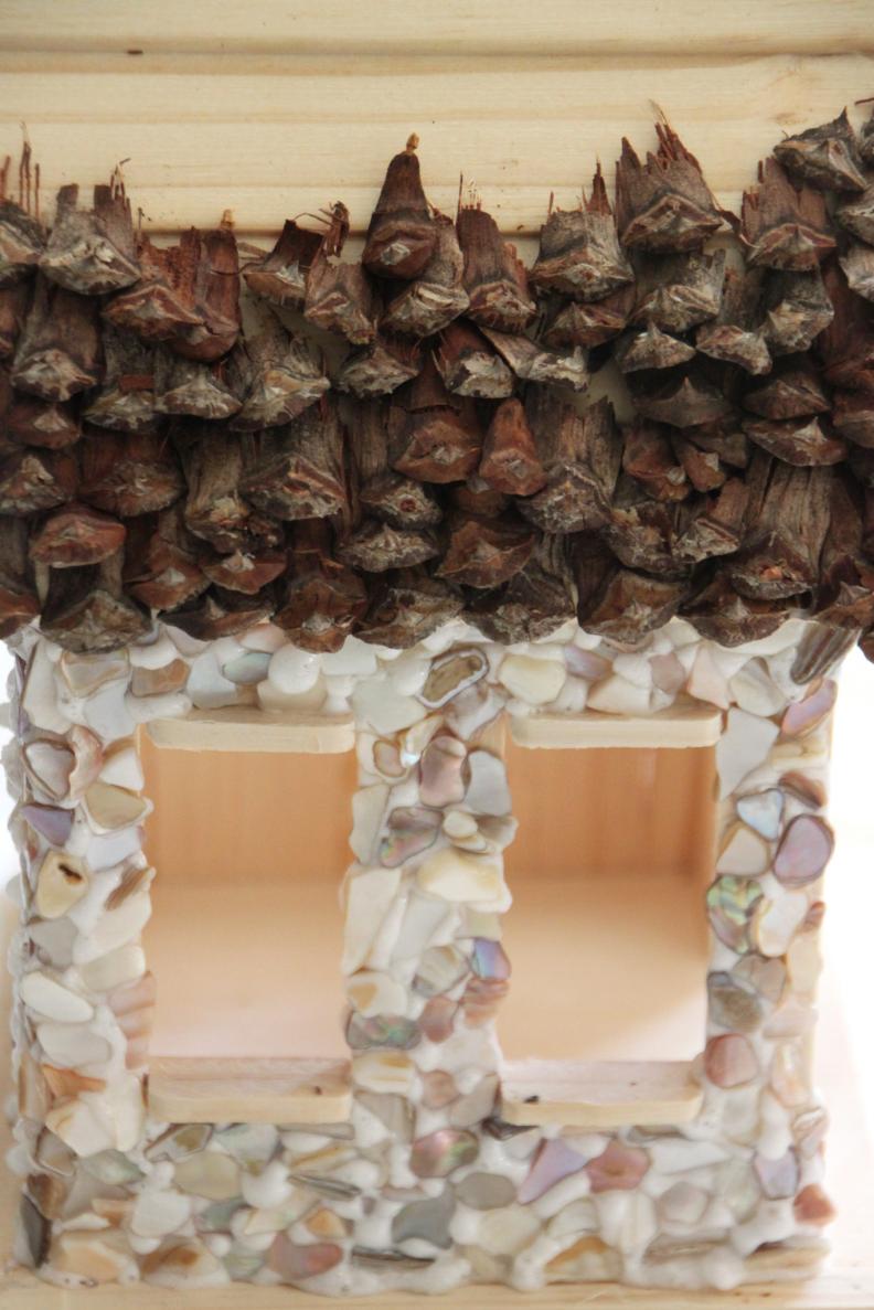 pinecone shingles