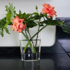Simple Flower Arrangement With Tree Philodendron Leaves