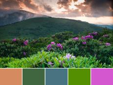 Smoky Mountains National Park Palette