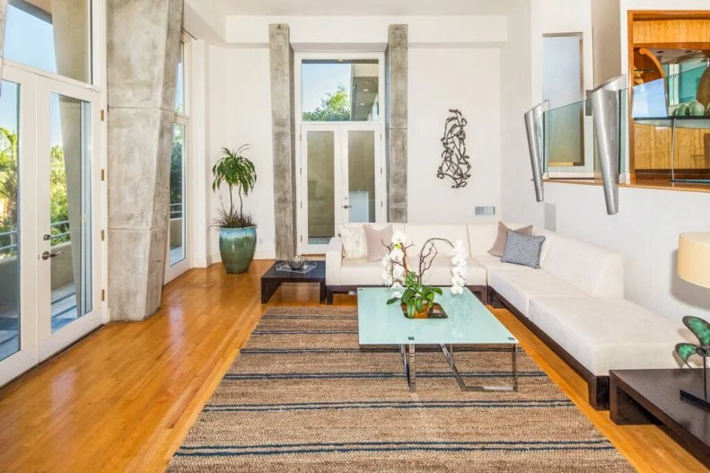 White Contemporary Living Room
