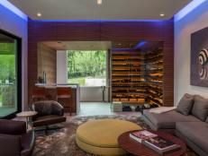 Contemporary Living Room, Wine Cellar, Wet Bar