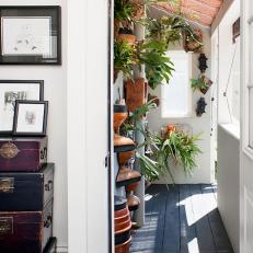 Sunny Cosed Back Porch With Wall Mounted Plants, Black Wood Floor and Ceiling Window Blinds 