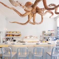 Octopus Suspended Above Bar Area at Cevicheria 