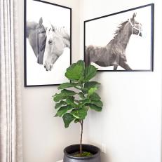 Corner Features Horse Artwork and Houseplant