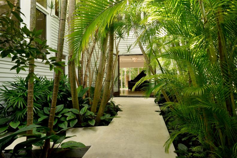 Walkway and Plants