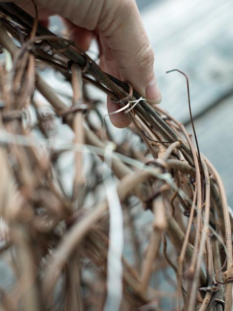 DIY Grapevine lighting balls What a BRIGHT idea !