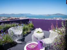 Terrace With Pollinator-Friendly Flowers and Views of San Francisco