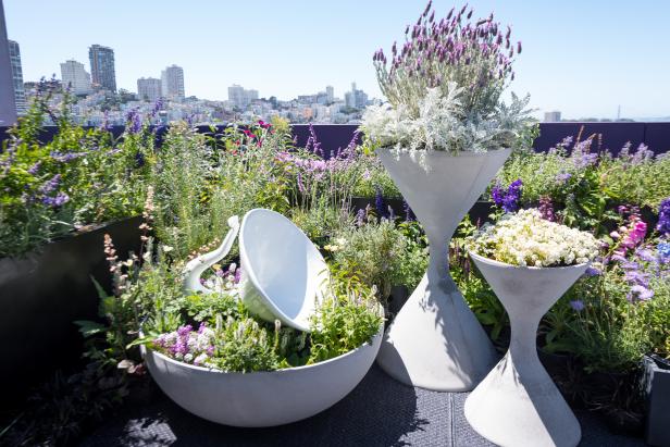 Pollinator-Friendly Wildflowers on Purple Rooftop Terrace