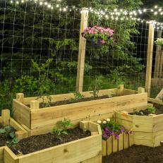 Raised Bed Garden and String Lights