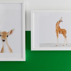 Framed Animal Photographs in Boy's Nursery