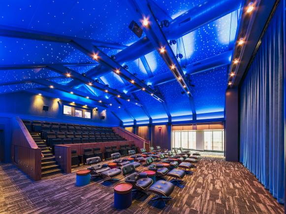 Theater with Faux Sky Ceiling and Large Lounge Chairs