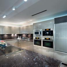Contemporary Kitchen With Glossy Gray Cabinets