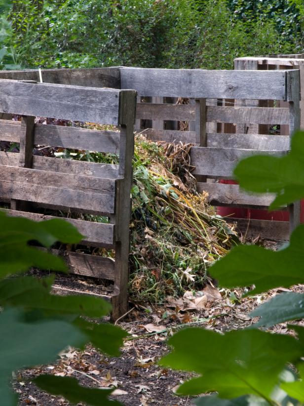 How to Conserve Water in Your Garden and Landscape | HGTV