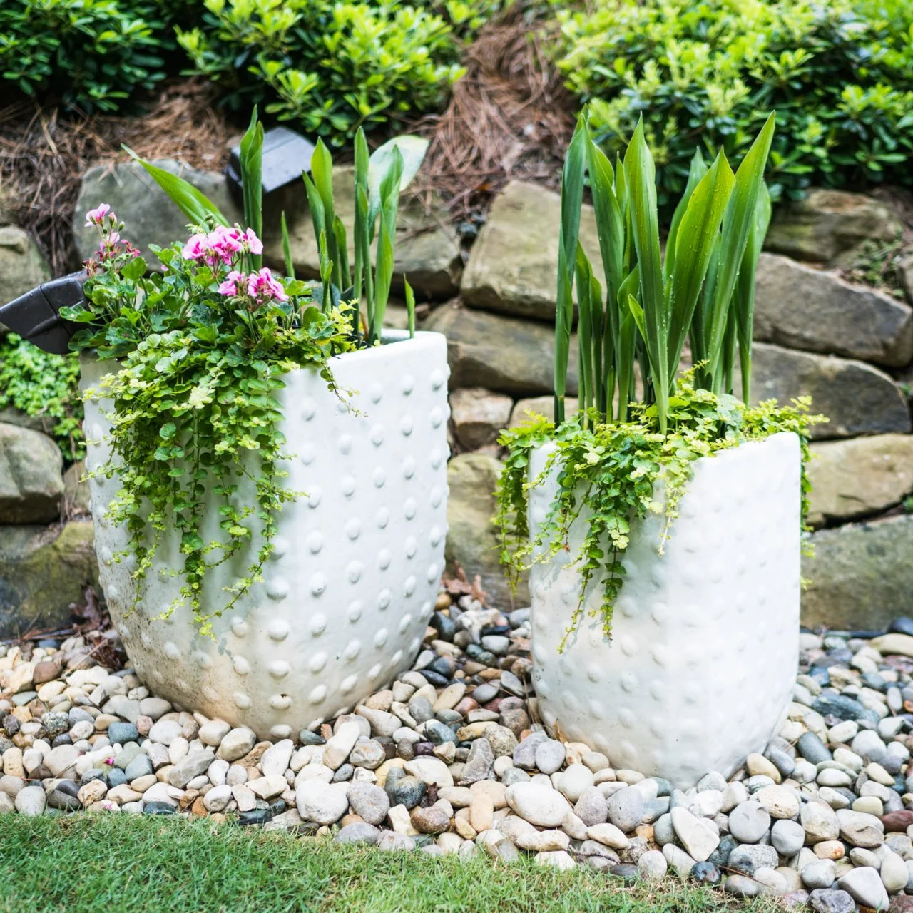 Container Planting Tips | HGTV, image size:1280x1280
