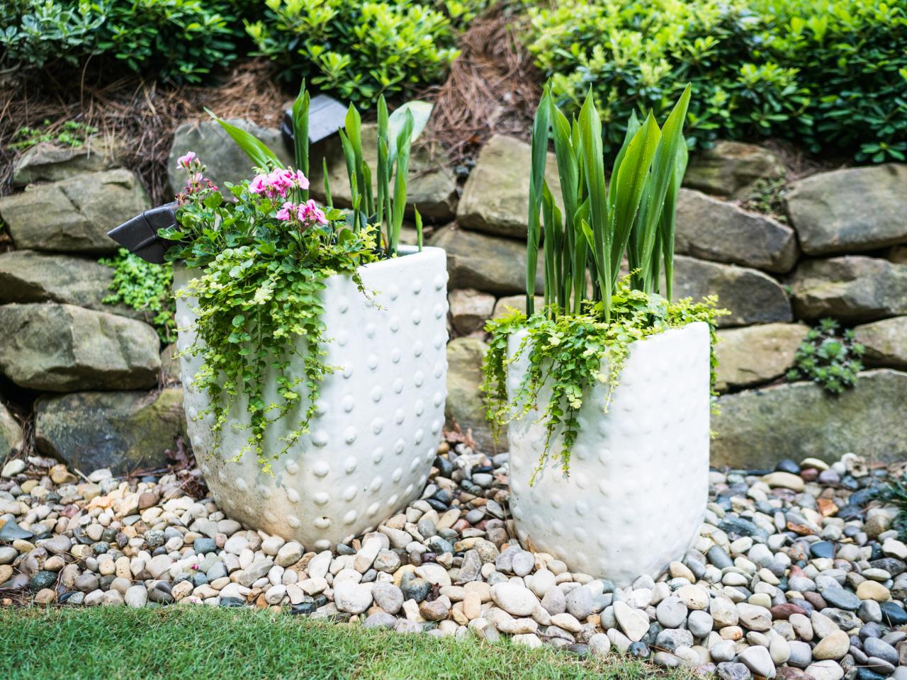 Container Planting Tips   HGTV
