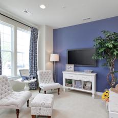 Classic Blue-and-White Living Room