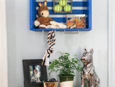 Blue Crate on Wall Full of Pet Supplies