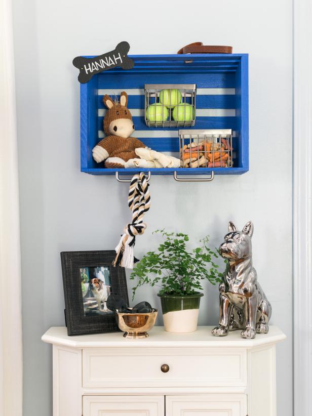 Blue Crate on Wall Full of Pet Supplies