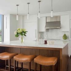 Custom Cabinets Conceal Appliances and an Entrance to This Modern Kitchen