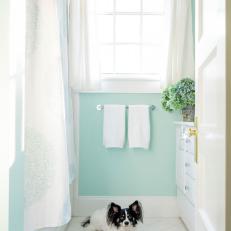 Photos Hgtv Bright Contemporary Bathroom With Sea Green Wall Paint And White Fixtures