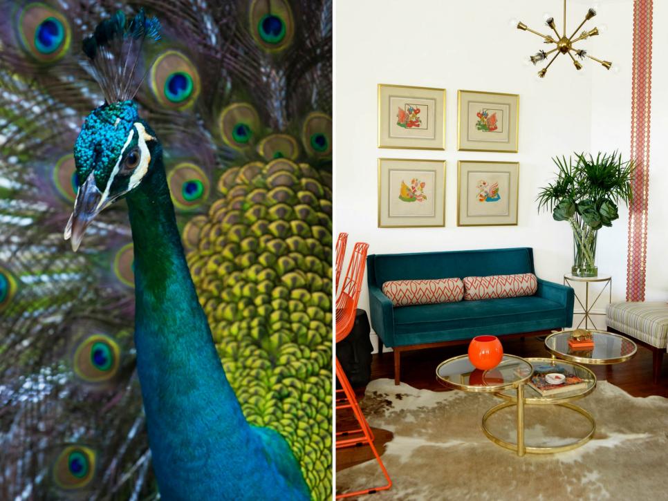 15 Ways To Decorate With Rich Peacock Blue Hgtv