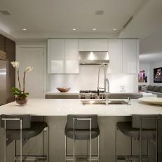 Gray and White Modern Open Plan Kitchen