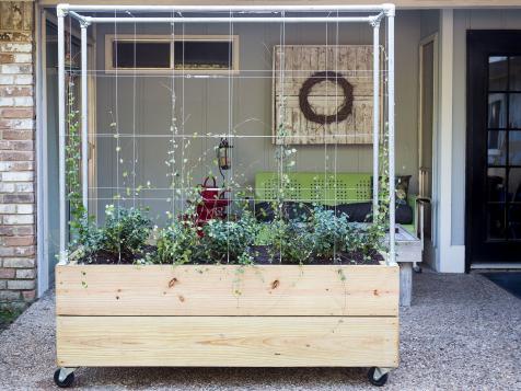 How to Make a Raised Planter With a Trellis